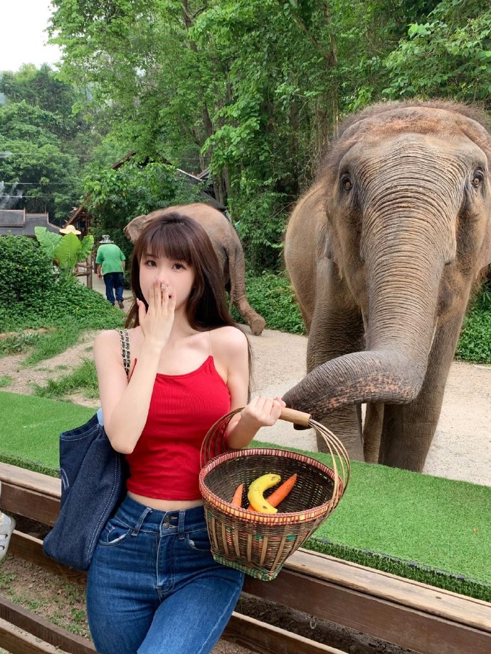 优雅贵族的休假指南。